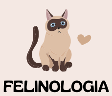 Felinologia